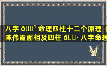 八字 🌹 命理四柱十二个原理（陈伟霆面相及四柱 🌷 八字命理解析）